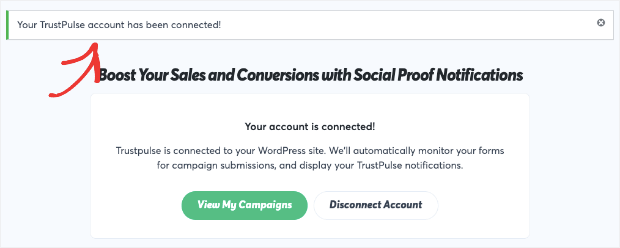 Campaign connected with WordPress