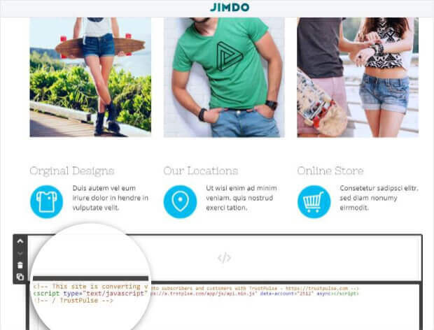 Paste TrustPulse embed code in Jimdo