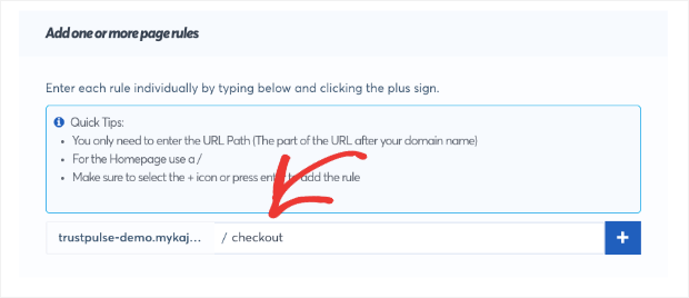 add url to capture form activity with trustpulse