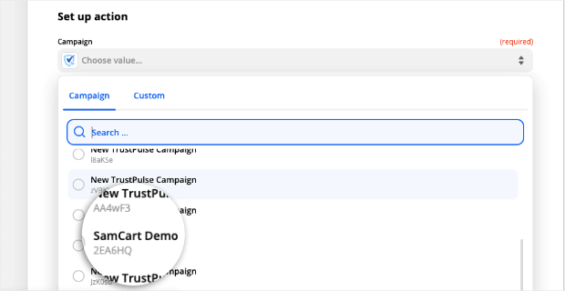 choose samcart demo campaign from zapier