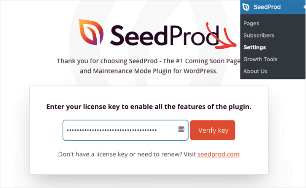 enter seedprod license key