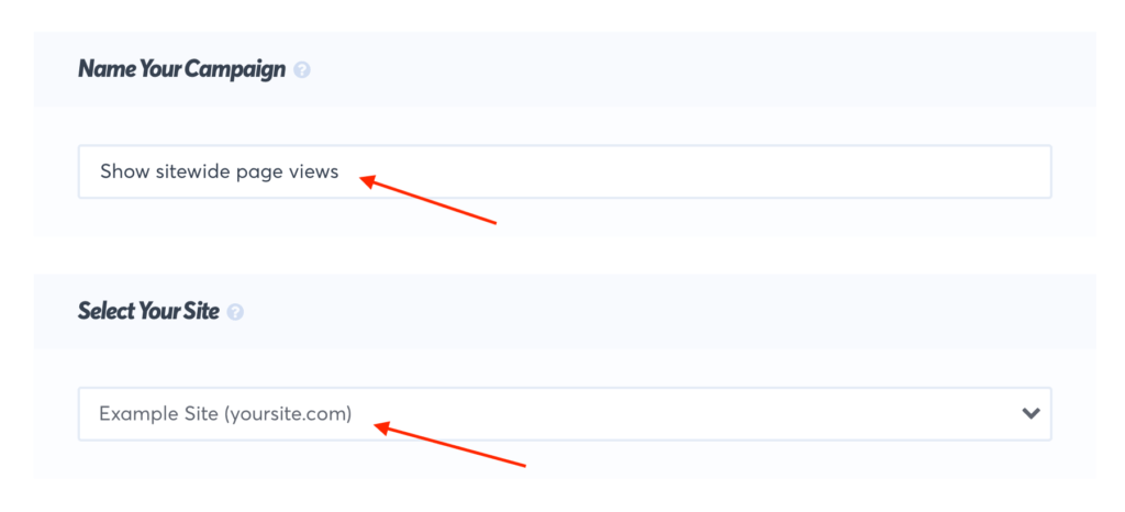 Set the name of your campaign and what site will capture data