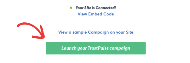 launch your trustpulse campaign