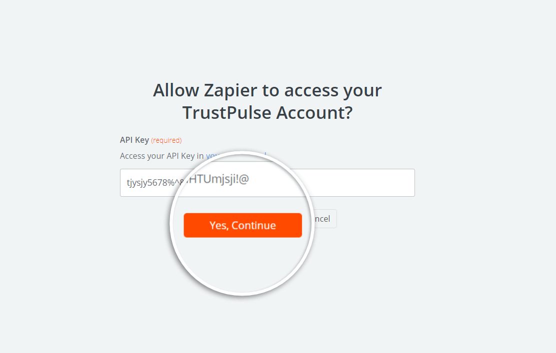 paste the api key and confirm the authorization