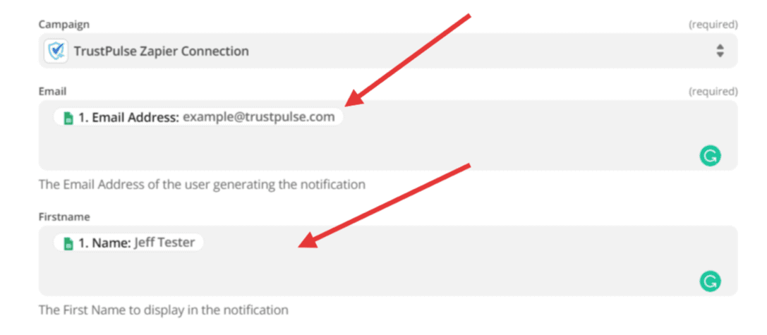 fill in the required fields with data from the trigger zapier application