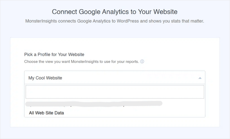 connect with google analytics